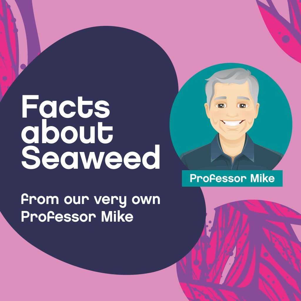 Seaweed Facts from our Professor Mike | Seaweed Agogo